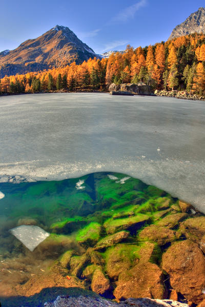 The Lake Saoseo is almost frozen during the autumn in the Val di Campo, Val Poschiavo, Switzerland Europe