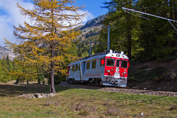 The Bernina Express descending along the Val Poschiavo, Switzerland Europe