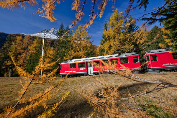 The Bernina Express in the autumn landscape of Val Poschiavo, Switzerland Europe