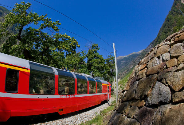 The Bernina Express passing by the typical crotti in Brusio, Val Poschiavo, Switzerland Europe