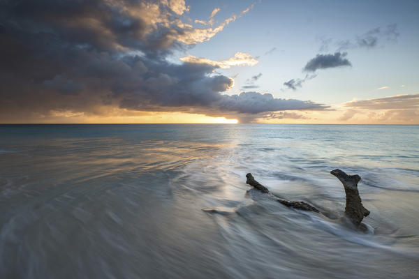 The waves and caribbean sunset frames tree trunks on Ffryers Beach Antigua and Barbuda Leeward Islands West Indies