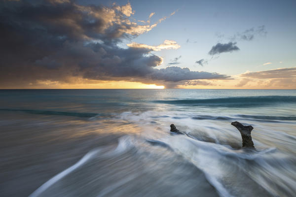 The waves and caribbean sunset frames tree trunks on Ffryers Beach Antigua and Barbuda Leeward Islands West Indies