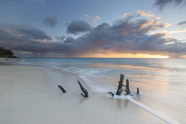 The waves and caribbean sunset frames tree trunks on Ffryers Beach Antigua and Barbuda Leeward Islands West Indies