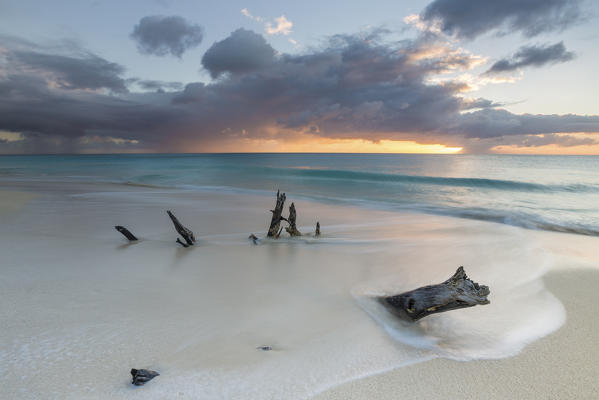 Caribbean sunset frames tree trunks on Ffryers Beach Antigua and Barbuda Leeward Islands West Indies