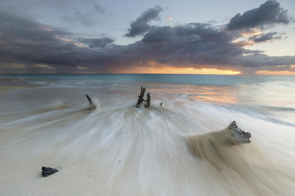 Caribbean sunset frames tree trunks on Ffryers Beach Antigua and Barbuda Leeward Islands West Indies