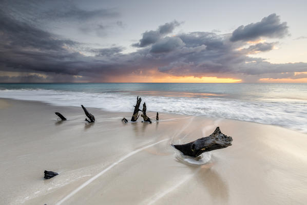 Caribbean sunset frames tree trunks on Ffryers Beach Antigua and Barbuda Leeward Islands West Indies