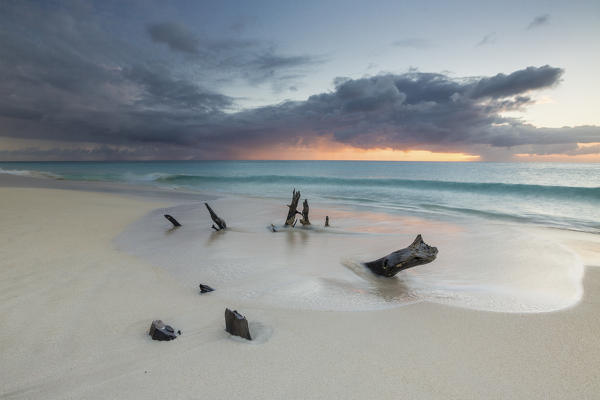 Caribbean sunset frames tree trunks on Ffryers Beach Antigua and Barbuda Leeward Islands West Indies