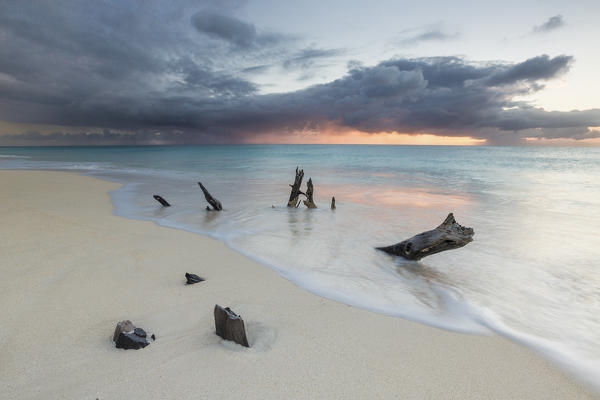 Caribbean sunset frames tree trunks on Ffryers Beach Antigua and Barbuda Leeward Islands West Indies