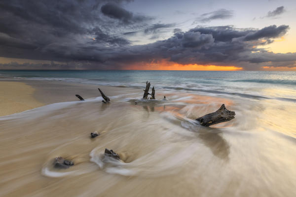 Caribbean sunset frames tree trunks on Ffryers Beach Antigua and Barbuda Leeward Islands West Indies