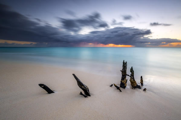 Caribbean sunset frames tree trunks on Ffryers Beach Antigua and Barbuda Leeward Islands West Indies
