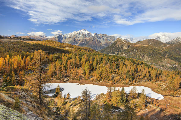 The Lake Mufule at the foot of Scalino Peak surrounded by yellow larches and crowned by the peak of Mount Disgrazia. Valmalenco. Valtellina. Lombardy. Italy. Europe