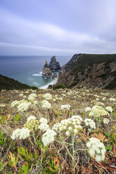 Sunrise on the cape and cliffs of Cabo da Roca overlooking the Atlantic Ocean Sintra Portugal Europe