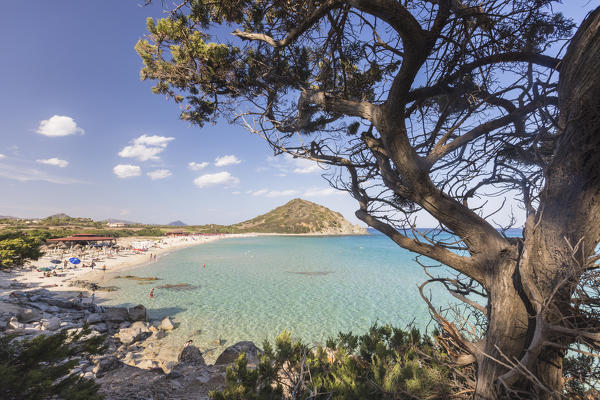 The mediterranean vegetation frames the bay and the turquoise sea of Cala Monte Turno Castiadas Cagliari Sardinia Italy Europe