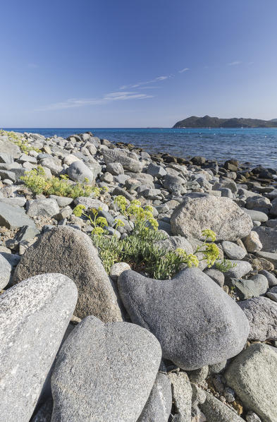 Rocks and vegetation surround the blue sea of Cala Monte Turno Castiadas Cagliari Sardinia Italy Europe