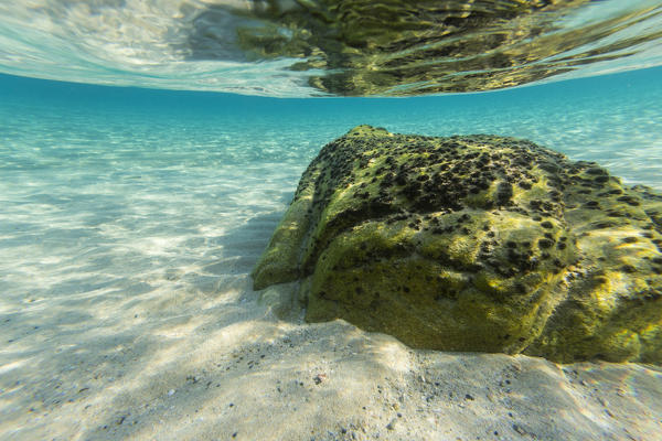 Underwater view of the turquoise sea of Cala Monte Turno Castiadas Cagliari Sardinia Italy Europe