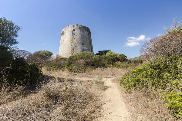 The vegetation of inland surrounds the tower Cala Pira Castiadas Cagliari Sardinia Italy Europe