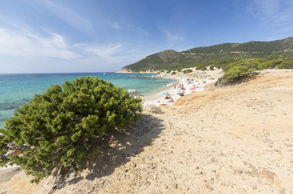 The mediterranean vegetation frames the beach and the turquoise sea of Porto Sa Ruxi Villasimius Cagliari Sardinia Italy Europe