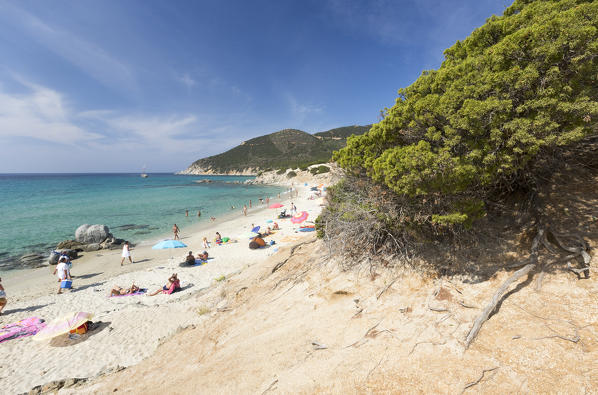 The mediterranean vegetation frames the beach and the turquoise sea of Porto Sa Ruxi Villasimius Cagliari Sardinia Italy Europe