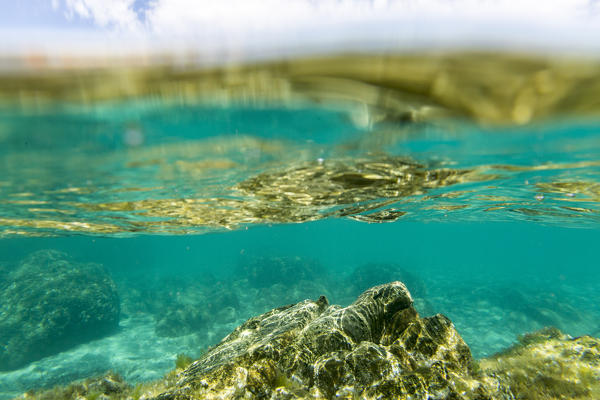 Underwater view of the turquoise sea of Sant Elmo Castiadas Costa Rei Cagliari Sardinia Italy Europe