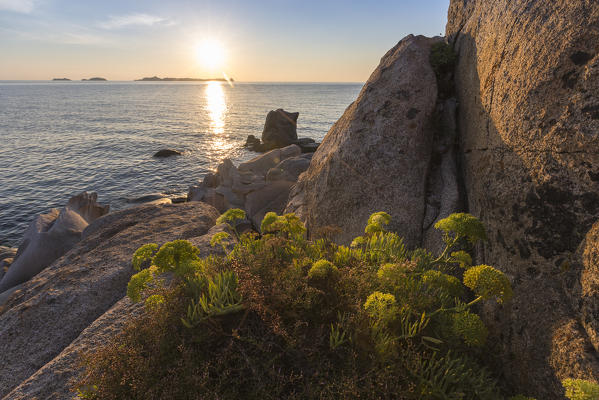 Sunbeams are reflected on the blue sea framed by rocks and vegetation Punta Molentis Villasimius Cagliari Sardinia Italy Europe