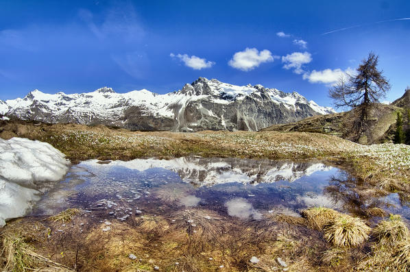 The snow gives a water puddle space near Val di Fex, where the Piz Lagrev, still covered in snow, is reflected, Engadine, Switzerland Europe