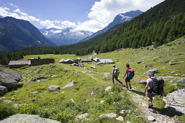 Hikers reaching the green plain of the Entova Alp in Valmalenco, Valtellina, Lombardy Italy Europe