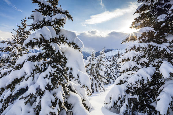Sunbeam in the snowy woods framed by the winter sunset Bettmeralp district of Raron canton of Valais Switzerland Europe