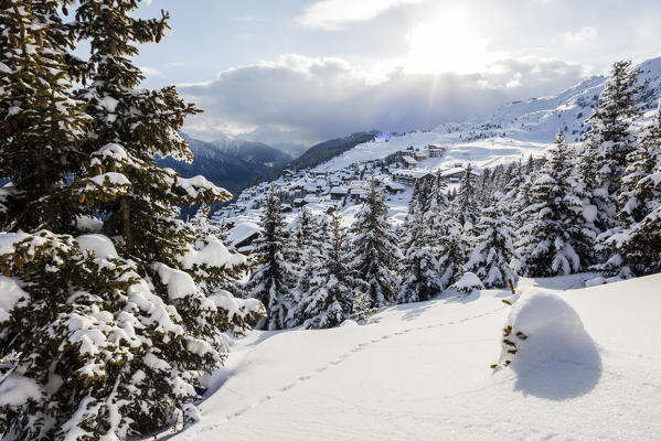 Snowy woods and trees framed by the winter sunset Bettmeralp district of Raron canton of Valais Switzerland Europe