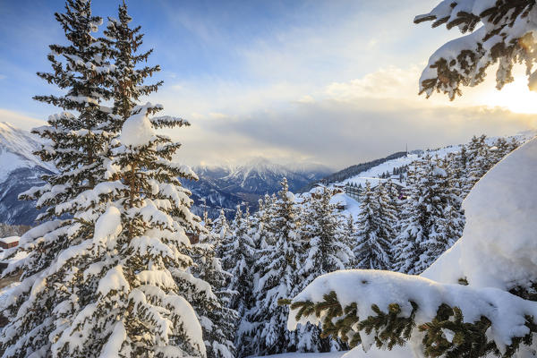 Snowy woods and trees framed by the winter sunset Bettmeralp district of Raron canton of Valais Switzerland Europe