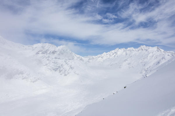 Aletsch Glacier seen from Betterhorn surrounded by snow Bettmeralp district of Raron canton of Valais
Switzerland Europe