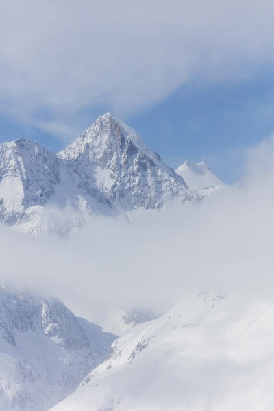 Aletsch Glacier seen from Betterhorn surrounded by snow Bettmeralp district of Raron canton of Valais
Switzerland Europe