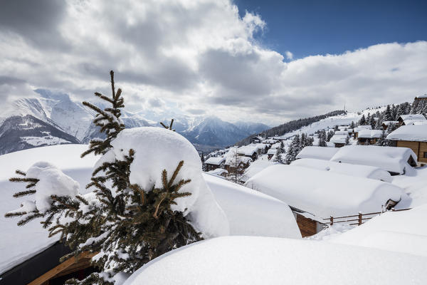 Tree covered with snow frames the typical mountain huts Bettmeralp district of Raron canton of Valais Switzerland Europe