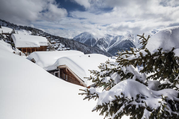 Tree covered with snow frames the typical mountain huts Bettmeralp district of Raron canton of Valais Switzerland Europe