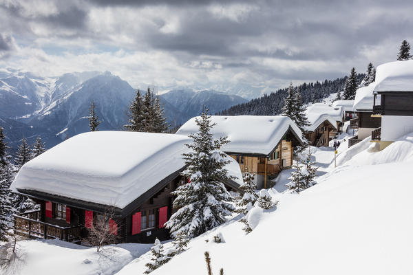 Tree covered with snow frame the typical mountain huts Bettmeralp district of Raron canton of Valais Switzerland Europe