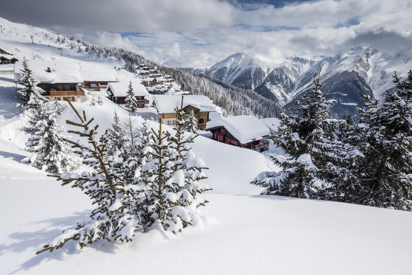 Trees covered with snow frame the typical mountain huts Bettmeralp district of Raron canton of Valais Switzerland Europe