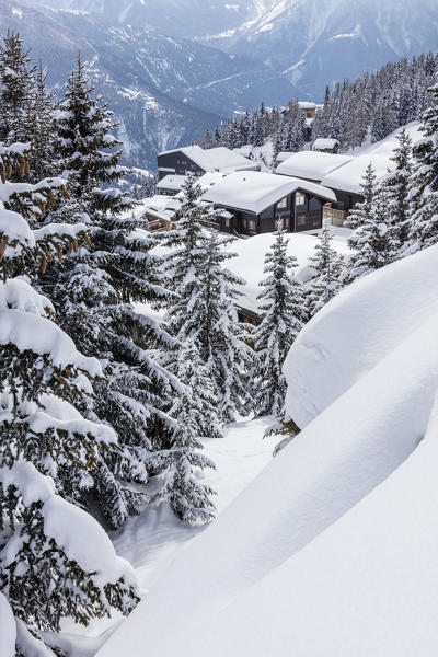 Trees covered with snow frame the typical mountain huts Bettmeralp district of Raron canton of Valais Switzerland Europe