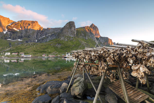 Midnight sun on dried fish framed by  fishing village and peaks Reine Nordland county Lofoten Islands Northern Norway Europe