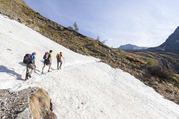 Hikers on snowfields surrounded by high peaks Val Malga Adamello Regional Park province of Brescia Lombardy Italy Europe