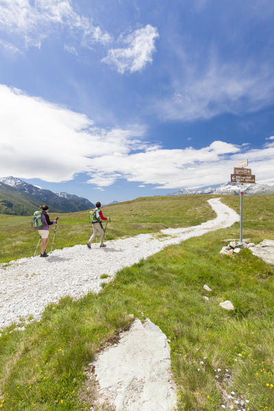 Hikers surrounded by green meadows Andossi Montespluga Chiavenna Valley Sondrio province Valtellina Lombardy Italy Europe
