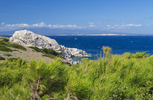 Green plants frame the pristine blue sea and cliffs Capo Testa Santa Teresa di Gallura Sassari Province Sardinia Italy Europe