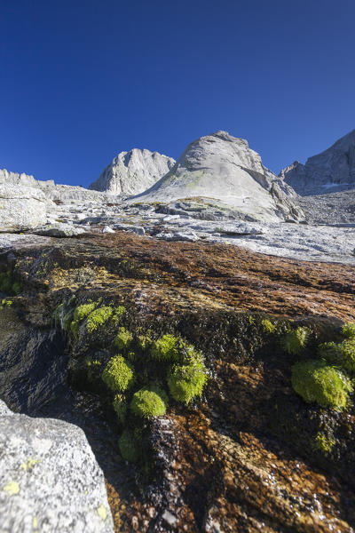 Blue sky on rocks and high peaks Porcellizzo Valley Masino Valley Valtellina Province of Sondrio Lombardy Italy Europe