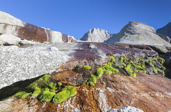 Blue sky on the rock faces and high peaks Porcellizzo Valley Masino Valley Valtellina Province of Sondrio Lombardy Italy Europe