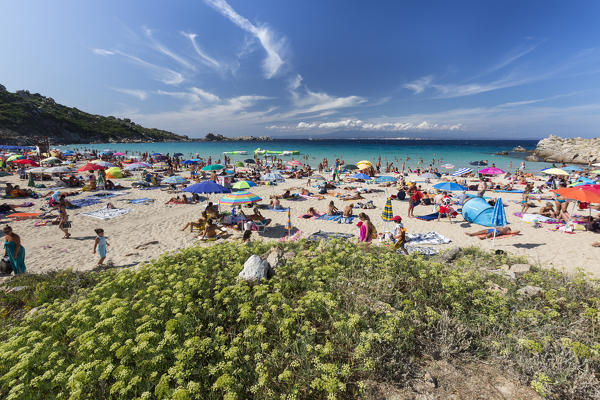 Tourists on the beach of fine sand surrounded by turquoise sea Santa Teresa di Gallura Province of Sassari Sardinia Italy Europe