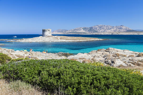 Turquoise sea and old tower surround La Pelosa Beach Stintino Asinara National Park Province of Sassari Sardinia Italy Europe