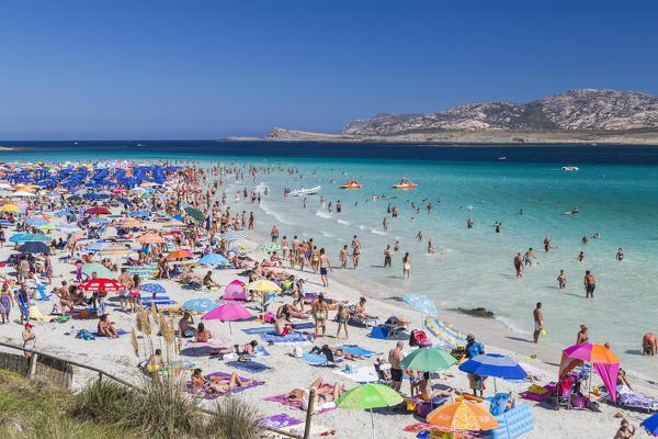 Bathers in the turquoise sea La Pelosa Beach Stintino Asinara National Park Province of Sassari Sardinia Italy Europe