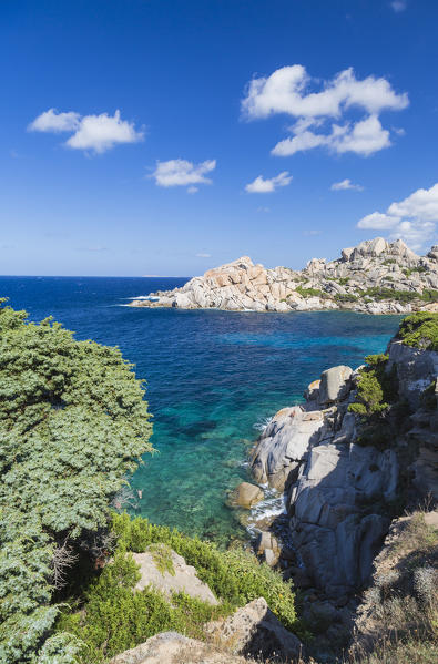 Green plants frame the pristine blue sea and cliffs Capo Testa Santa Teresa di Gallura Sassari Province Sardinia Italy Europe