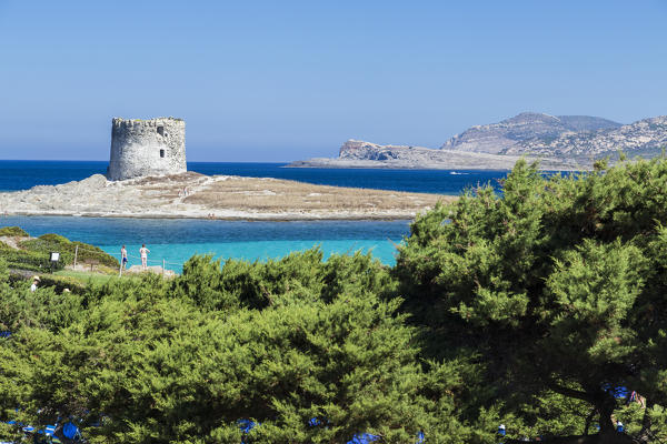Turquoise sea and old tower surround La Pelosa Beach Stintino Asinara National Park Province of Sassari Sardinia Italy Europe