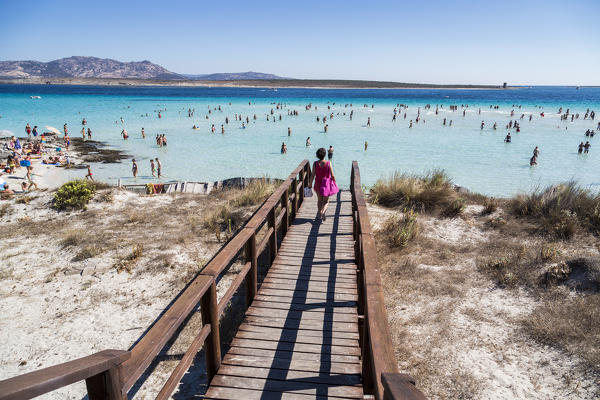 The wooden bridge leads to the turquoise sea Stintino Asinara National Park Province of Sassari Sardinia Italy Europe