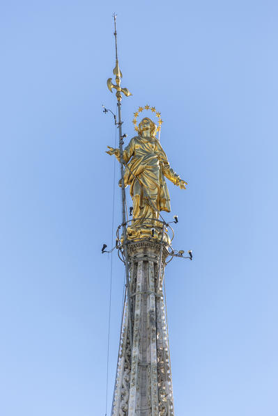 The golden statue called La Madonnina on the top of the Duomo the icon of Milan Lombardy Italy Europe