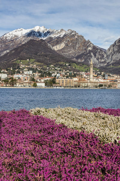 Colorful flowers frame Lake Como and the city of Lecco with snowy peaks in the background Lombardy Italy Europe